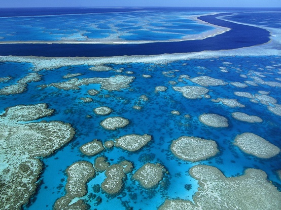 Photo:  Great Barrier Reef 1